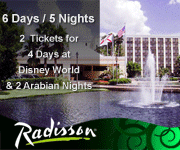 Disney World & Dinner Show Packages